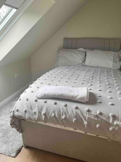 Mid Antrim Modern Apartment Newferry ภายนอก รูปภาพ